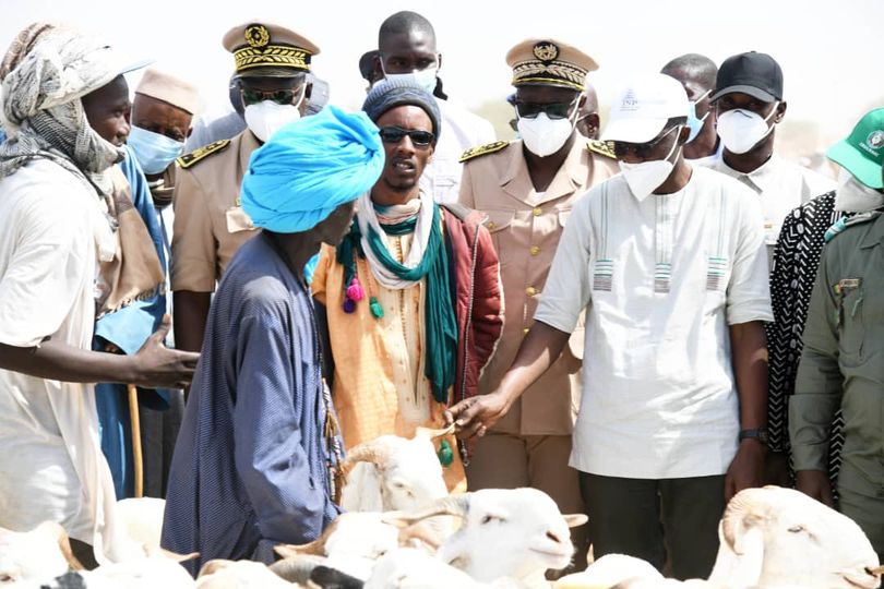 Dahra-Djolof : En visite au marché à bétail, Alpha Ba, très optimiste pour une autosuffisance en moutons de tabaski
