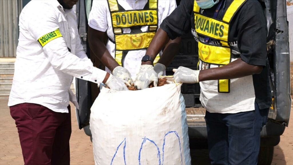 AIBD: 20 kilos de cocaïne d’une contrevaleur estimée à un 1,6 milliard de Fcfa saisis par la Douane