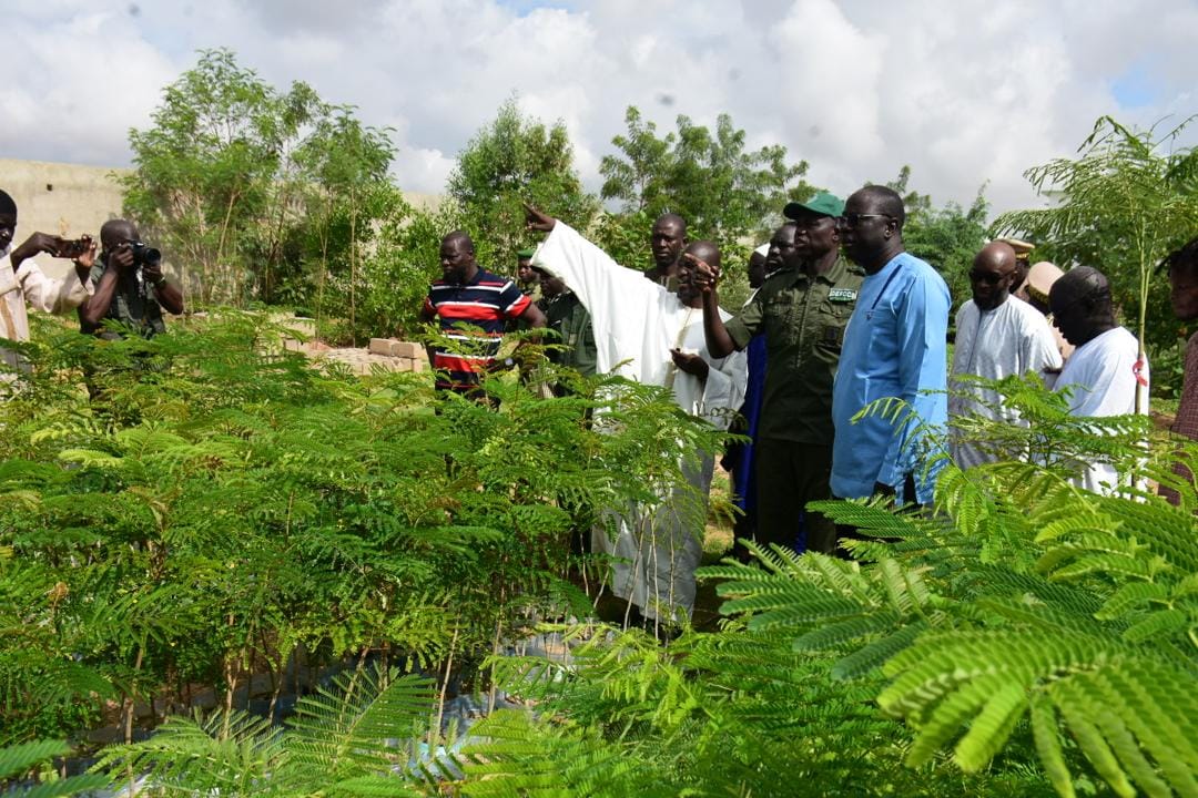 Journée de reboisement: Le ministre de l’Environnement visite la pépinière de Touba Ca Kanam