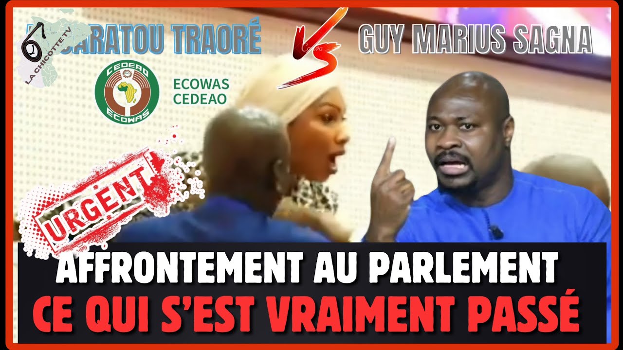 Tensions au Parlement de la CEDEAO : Guy Marius Sagna Affronte une Réaction Hostile lors de ses Critiques