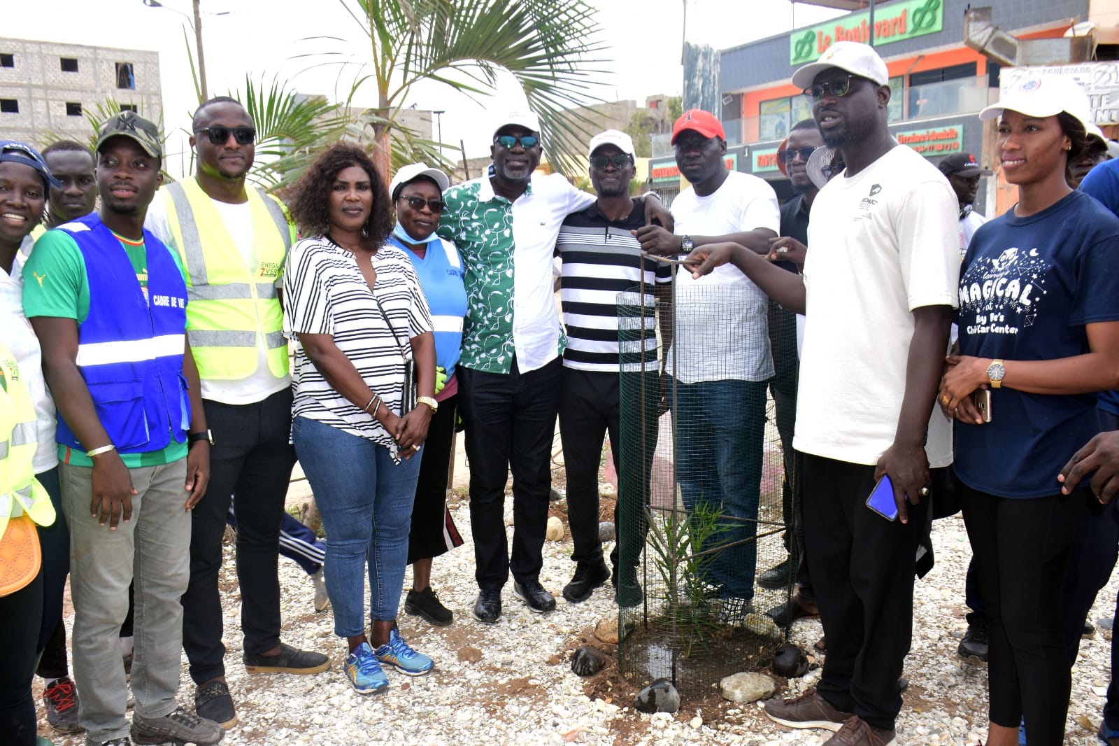 Journée de l&rsquo;arbre : Cinq variétés plantées à Mbao