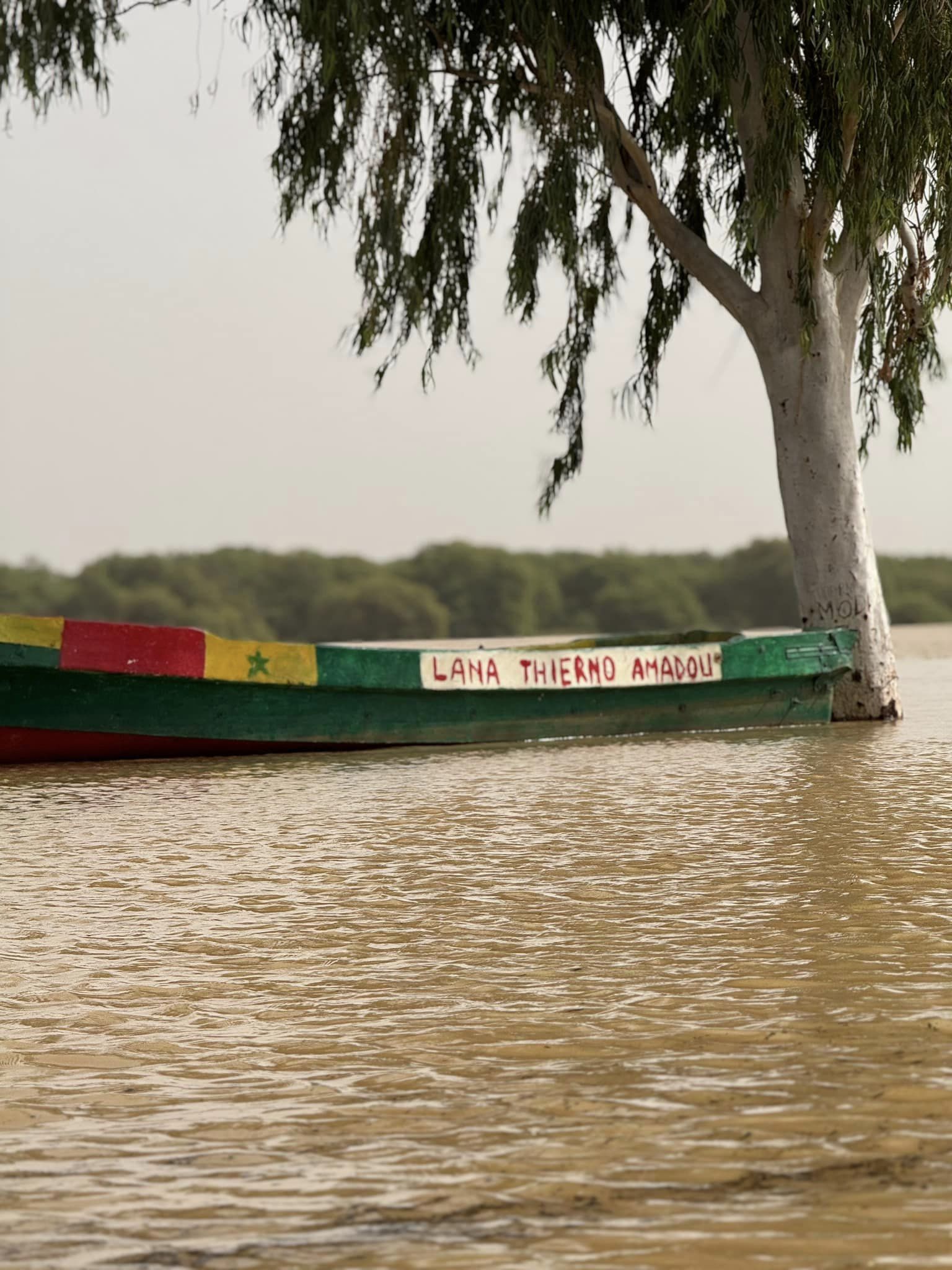 DIAMEL, TIGUERE, BELLY DIAALO: Plaintes et complaintes sur fond d’activités économiques