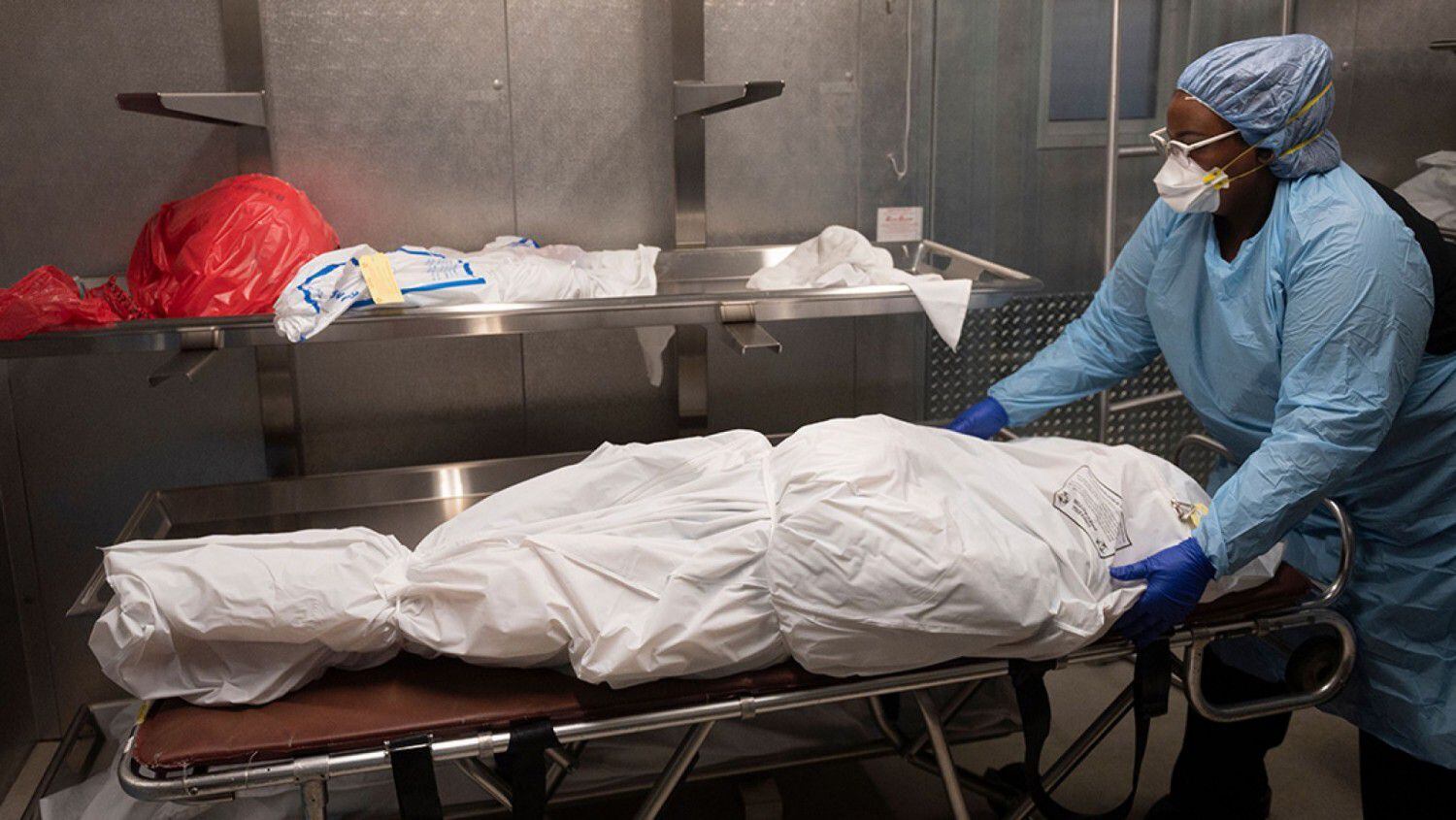 Fièvre hémorragique de Crimée-Congo : un décès enregistré à Birkilane