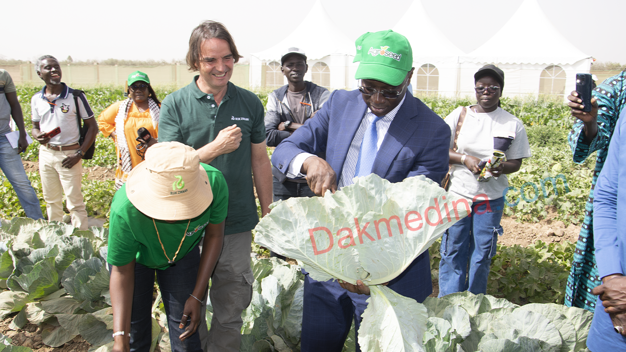 LES JOURNEES OUVERTE D&rsquo; AGROSEED Les 24 et 25 février 2025, la 8ᵉ édition des Journées Portes Ouvertes des champs de démonstration d’Agroseed
