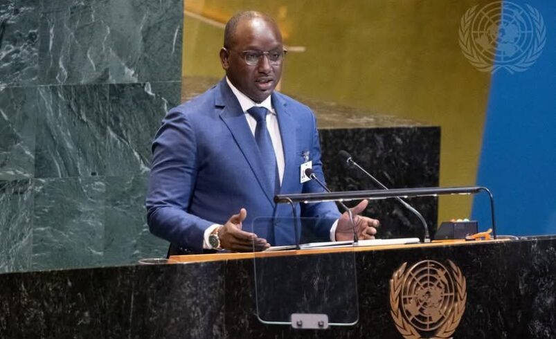 Nations Unies – Dr Cheikh Tidiane DIEYE.*
