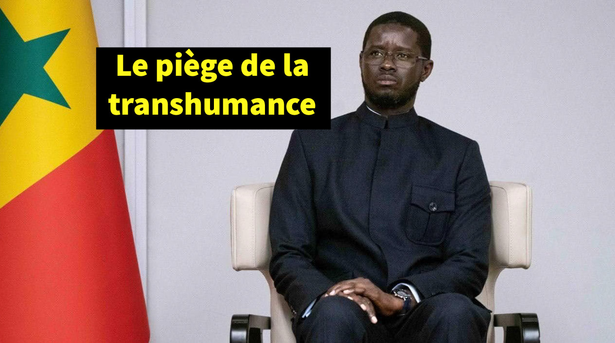 DIOMAYE PRÉSIDENT : LA RUPTURE SOUS PERFUSION DE TRANSHUMANTS