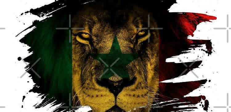 TRIBUNE | Sénégal : CE PAYS n’est PAS EN CRISE, IL EST PLONGÉ DANS LE NOIR